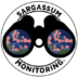 Sargassum Monitoring